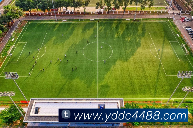 多媒体互动体验